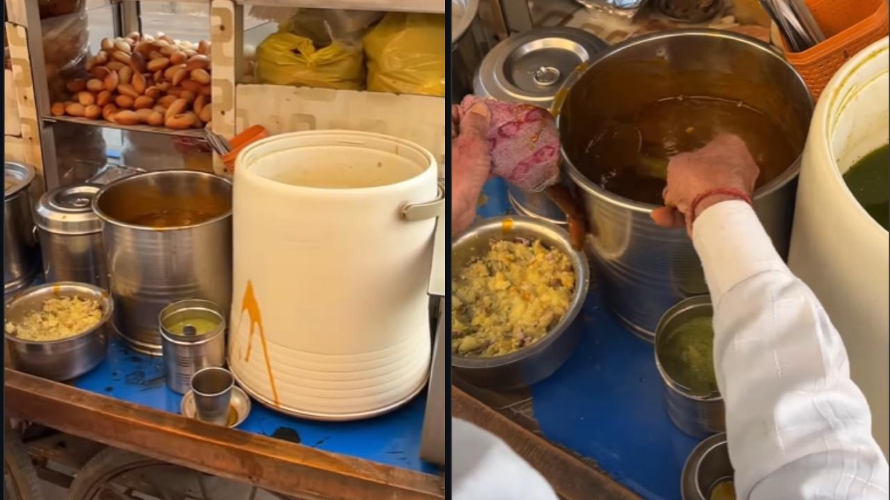 વાયરલ વીડિયોનો સ્ક્રીન ગરૅબ (તસવીર સૌજન્ય: સોશિયલ મીડિયા)