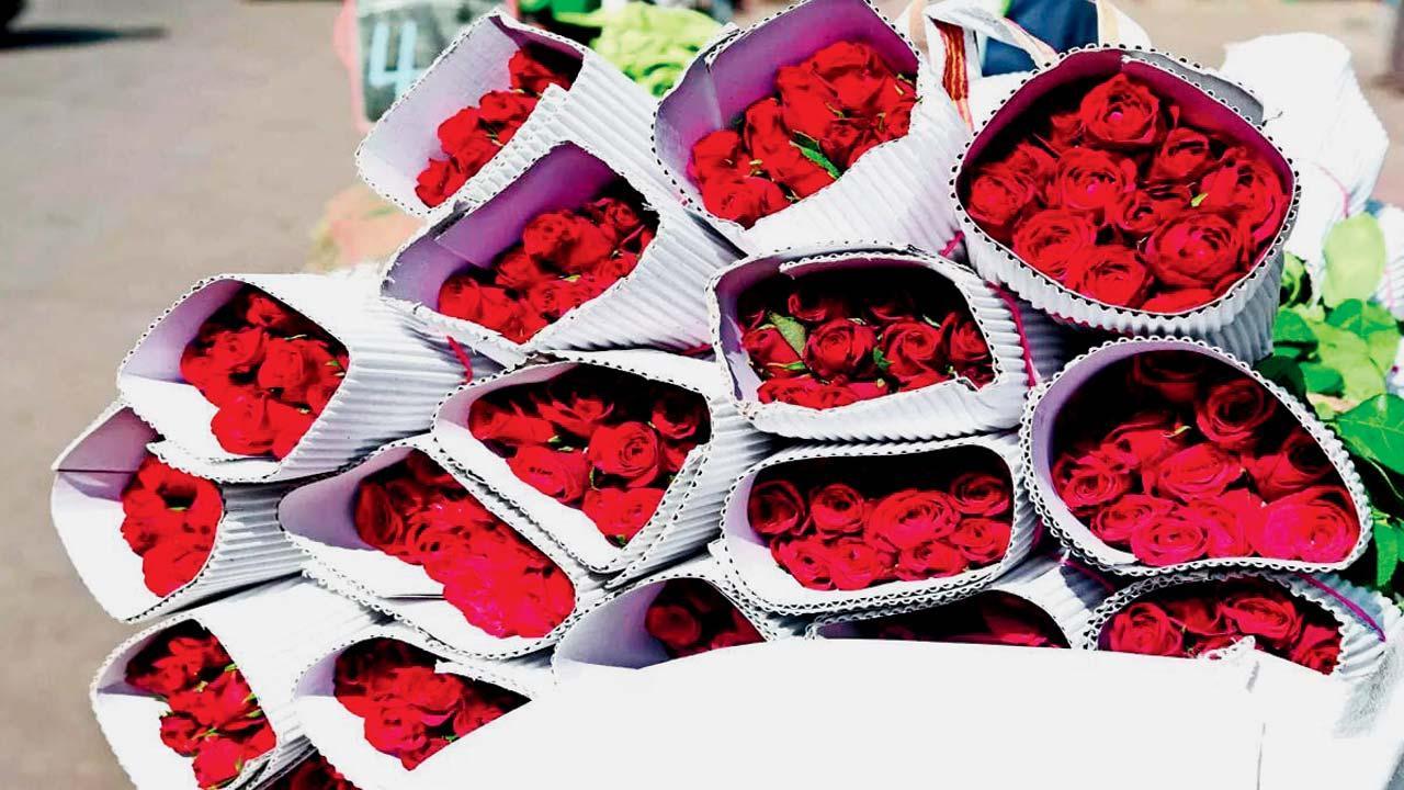 પ્રતીકાત્મક તસવીર