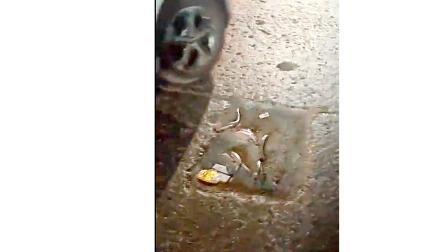 ઘોડબંદર રોડ પર રસ્તામાંથી બહાર આવી ગયેલા સળિયા બાઇકરો માટે ચિંતાનો વિષય બન્યા છે. 