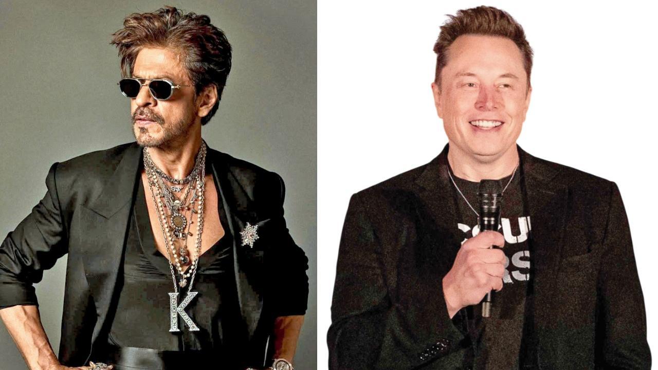 પ્રતીકાત્મક તસવીર