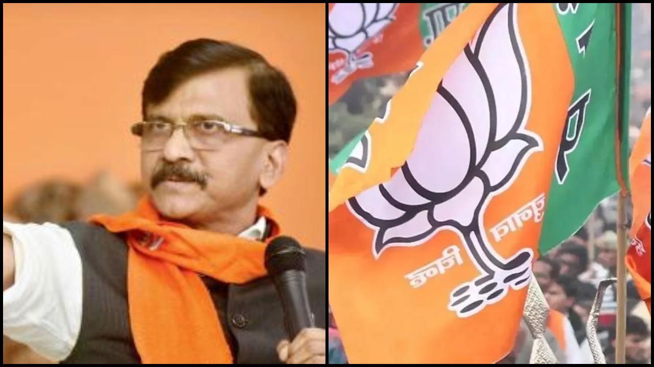 સંજય રાઉત અને BJP (ફાઇલ તસવીર)