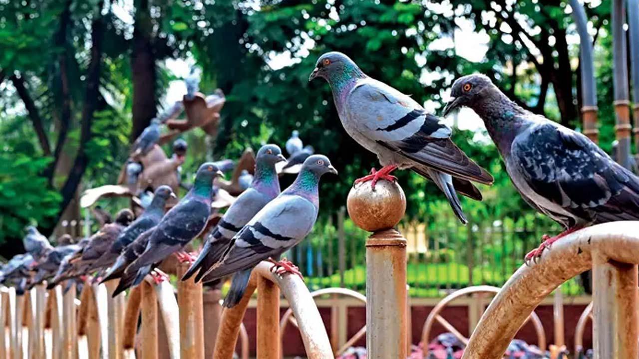 પ્રતીકાત્મક તસવીર