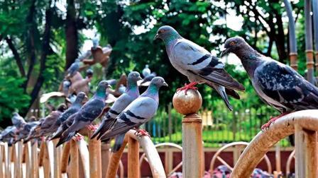 પ્રતીકાત્મક તસવીર