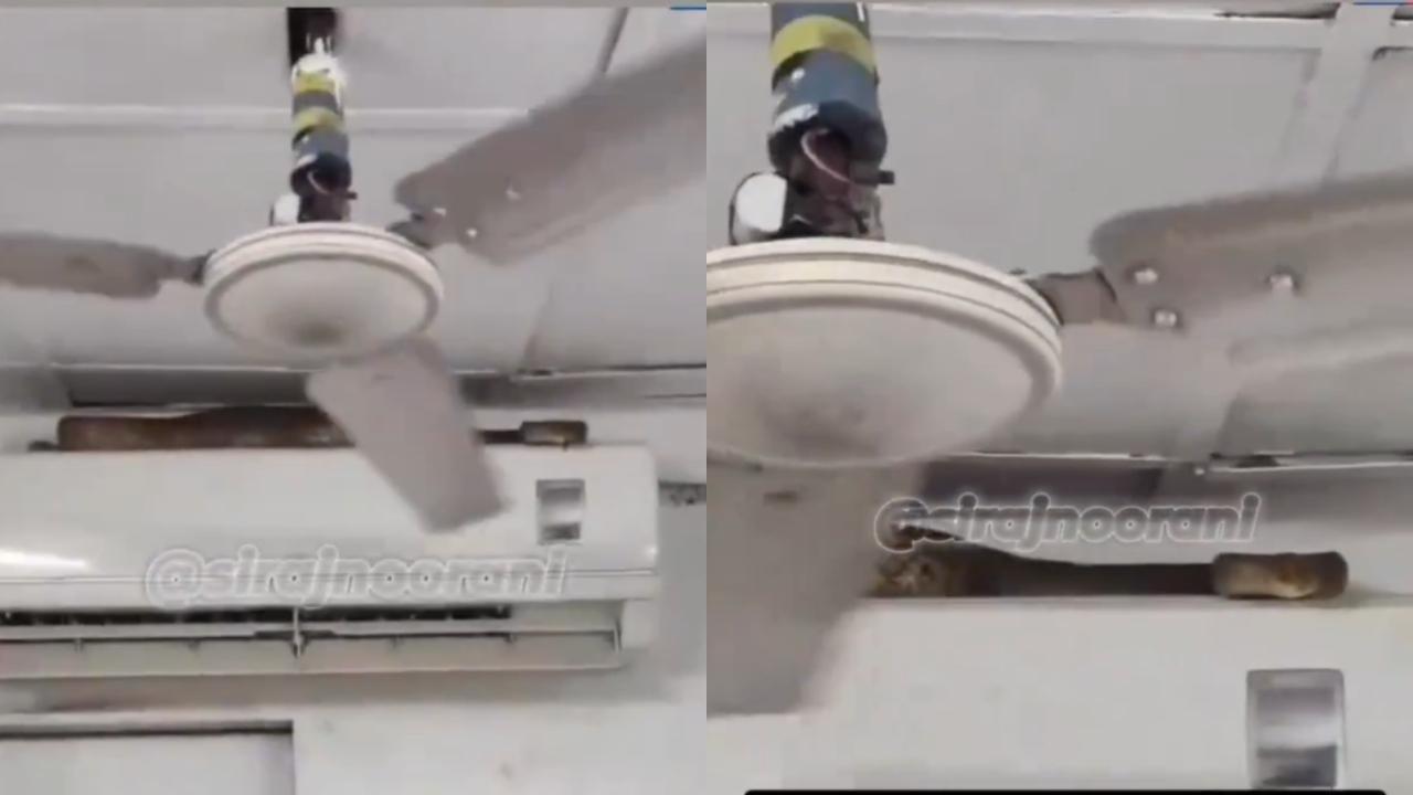 વાયરલ વીડિયોનો સ્ક્રીન ગરૅબ (તસવીર સૌજન્ય: સોશિયલ મીડિયા)