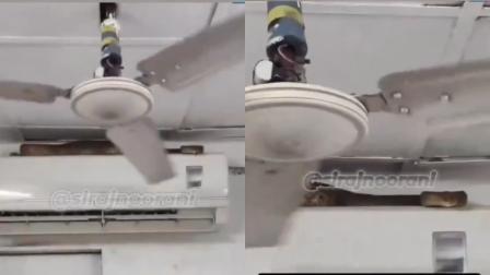 વાયરલ વીડિયોનો સ્ક્રીન ગરૅબ (તસવીર સૌજન્ય: સોશિયલ મીડિયા)