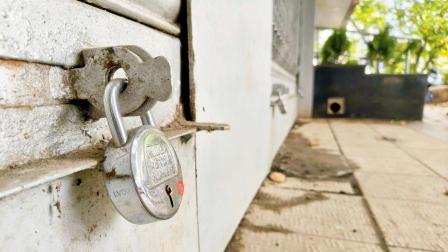 પ્રતીકાત્મક તસવીર