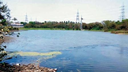 પ્રતીકાત્મક તસવીર