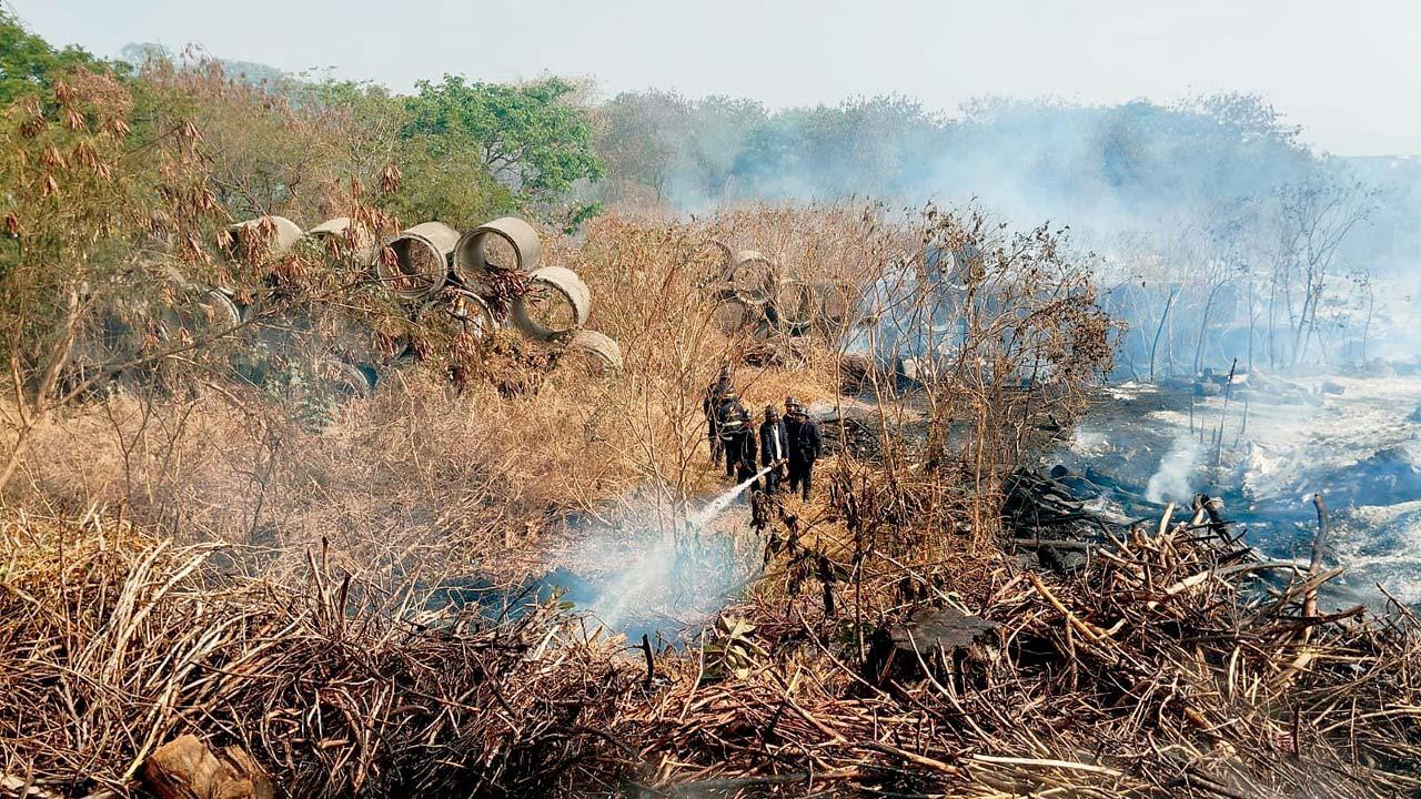 કોપરીના ડમ્પિંગ ગ્રાઉન્ડ ખાતે લાગેલી આગ.