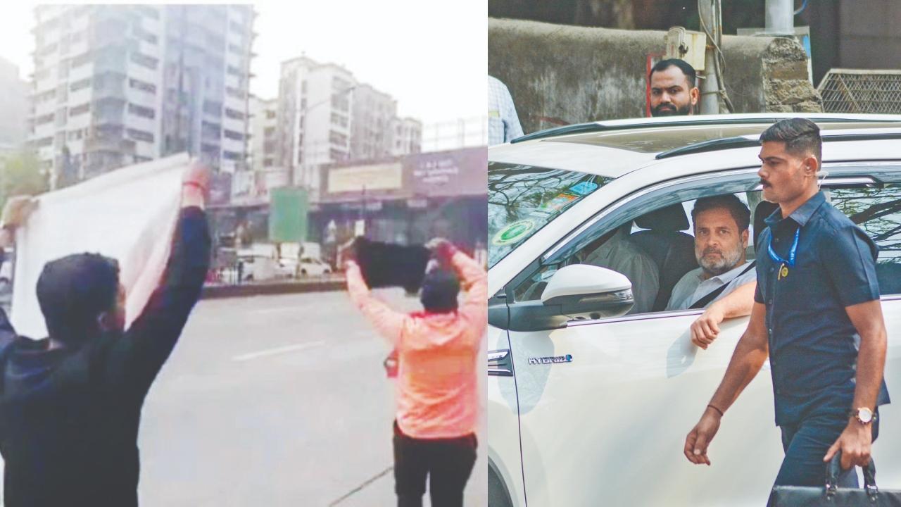 ભિવંડી કોર્ટમાં જઈ રહેલા રાહુલ ગાંધીનો કાળા વાવટા દેખાડીને વિરોધ દર્શાવવામાં આવ્યો હતો.