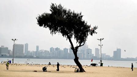 તસવીર સૌજન્ય મિડ-ડે