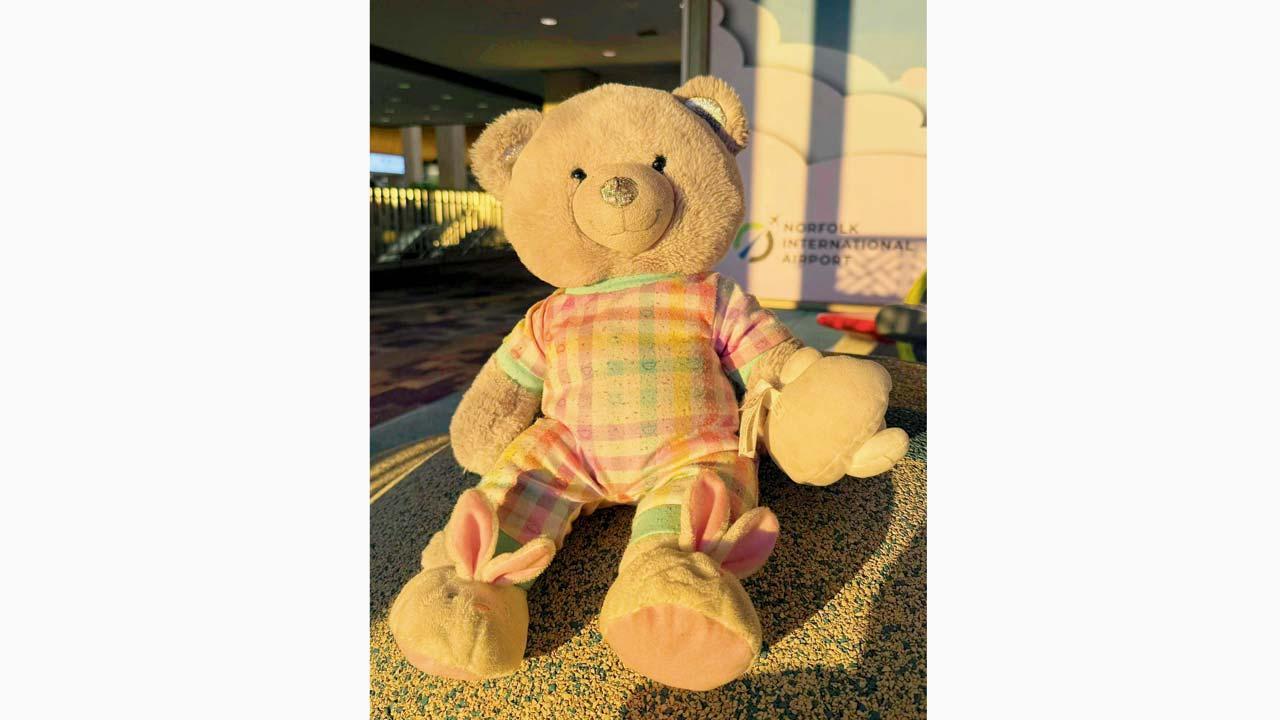 ટેડી બેઅર