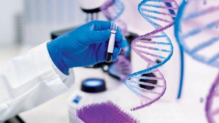 પ્રતીકાત્મક તસવીર