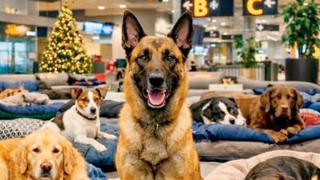 તસવીર સૌજન્યઃ સોશ્યલ મીડિયા