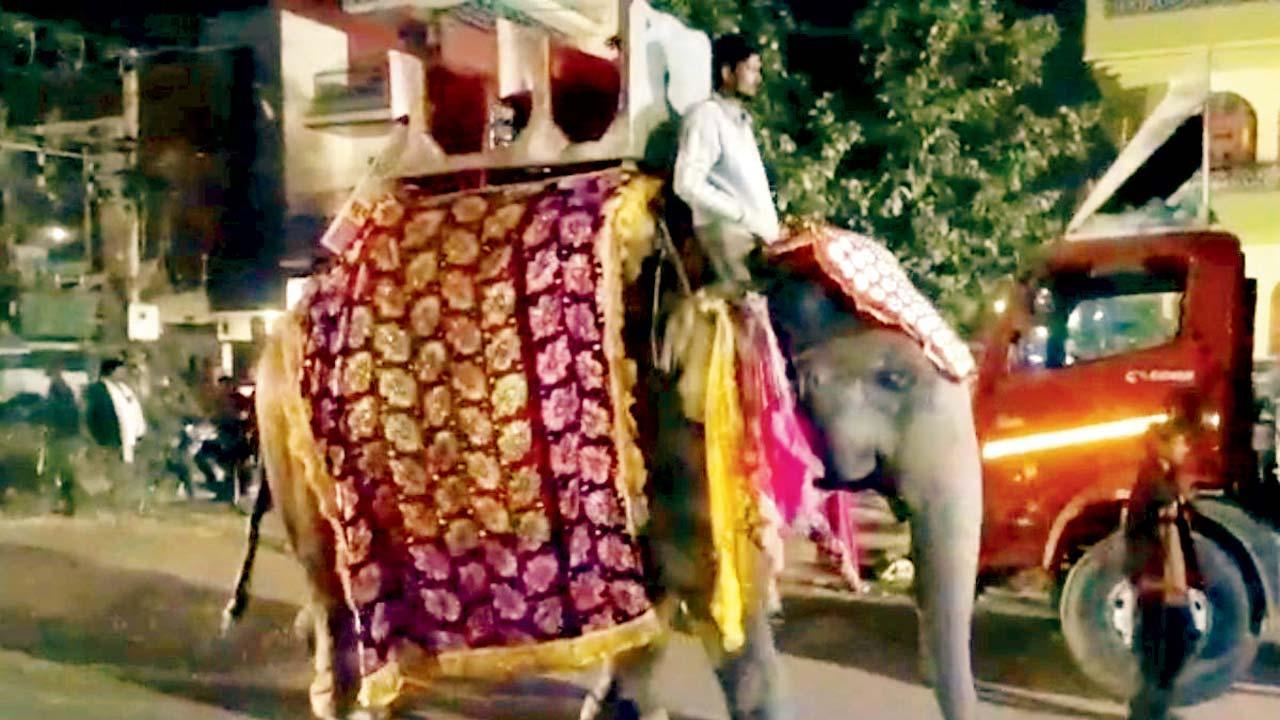 વાઇરલ વિડીયોમાંથી સ્ક્રીનશૉટ