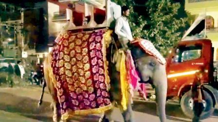 વાઇરલ વિડીયોમાંથી સ્ક્રીનશૉટ