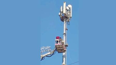 અમદાવાદમાં સમડીને બચાવી લેવા માટે ક્રેનનો ઉપયોગ કરવામાં આવ્યો હતો. 