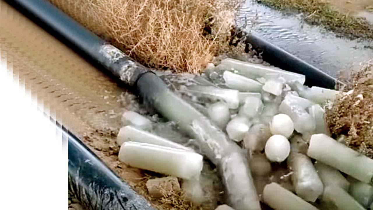 વાઇરલ વિડીયોમાંથી સ્ક્રીનશૉટ