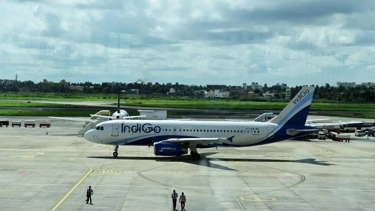 ઇન્ડિગો (ફાઈલ તસવીર)