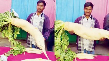 ૯ કિલો વજનનો એક મૂળો