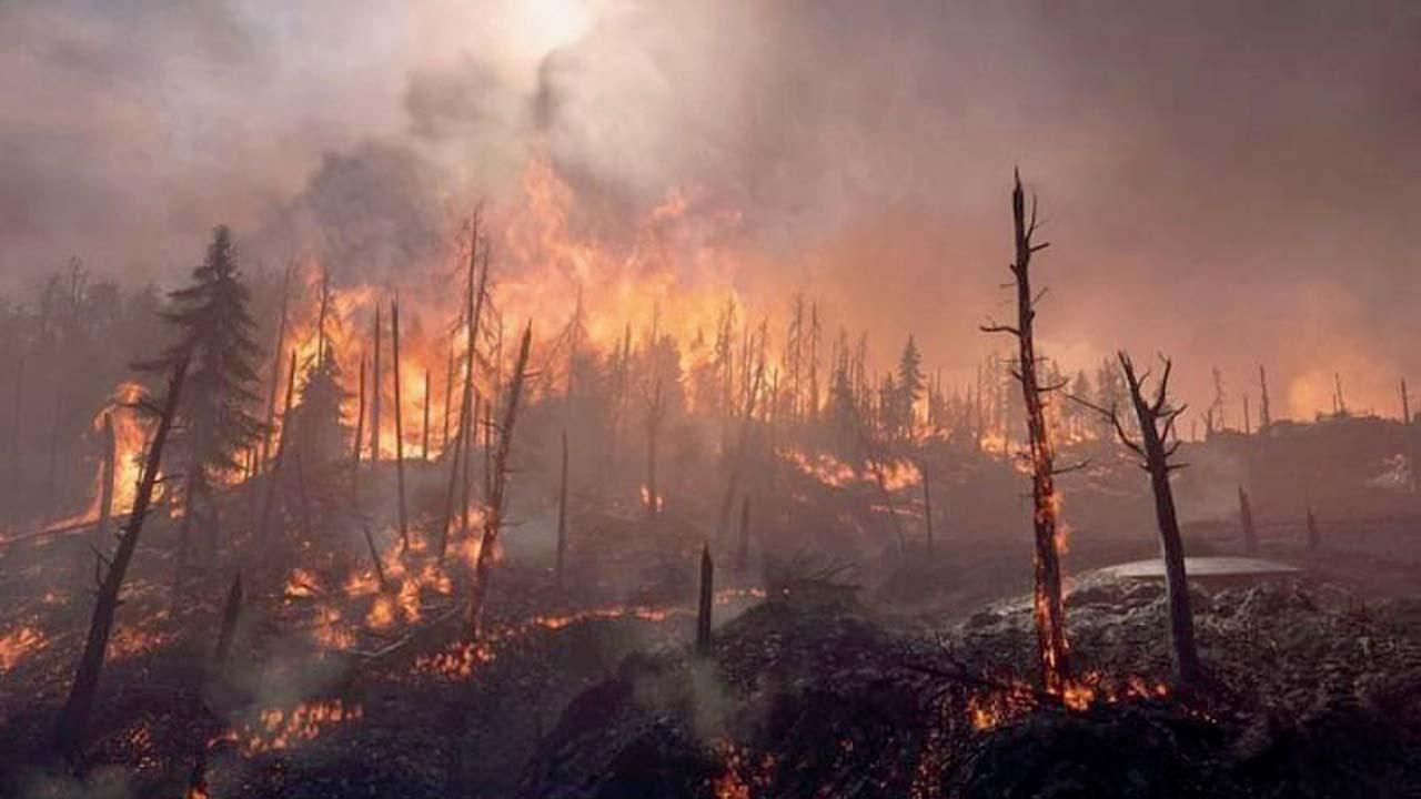 વાઇરલ વિડીયોમાંથી સ્ક્રીનશૉટ