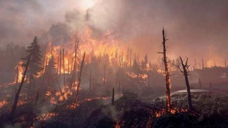 વાઇરલ વિડીયોમાંથી સ્ક્રીનશૉટ