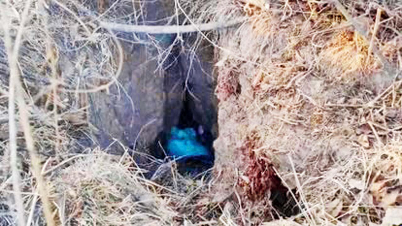 ગણતંત્ર દિવસ પહેલાં સુરક્ષાદળોએ કાશ્મીર સહિત ભારતના તમામ સંવેદનશીલ વિસ્તારોમાં સુરક્ષા કડક કરી દીધી છે