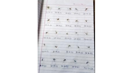 વાઇરલ તસવીર