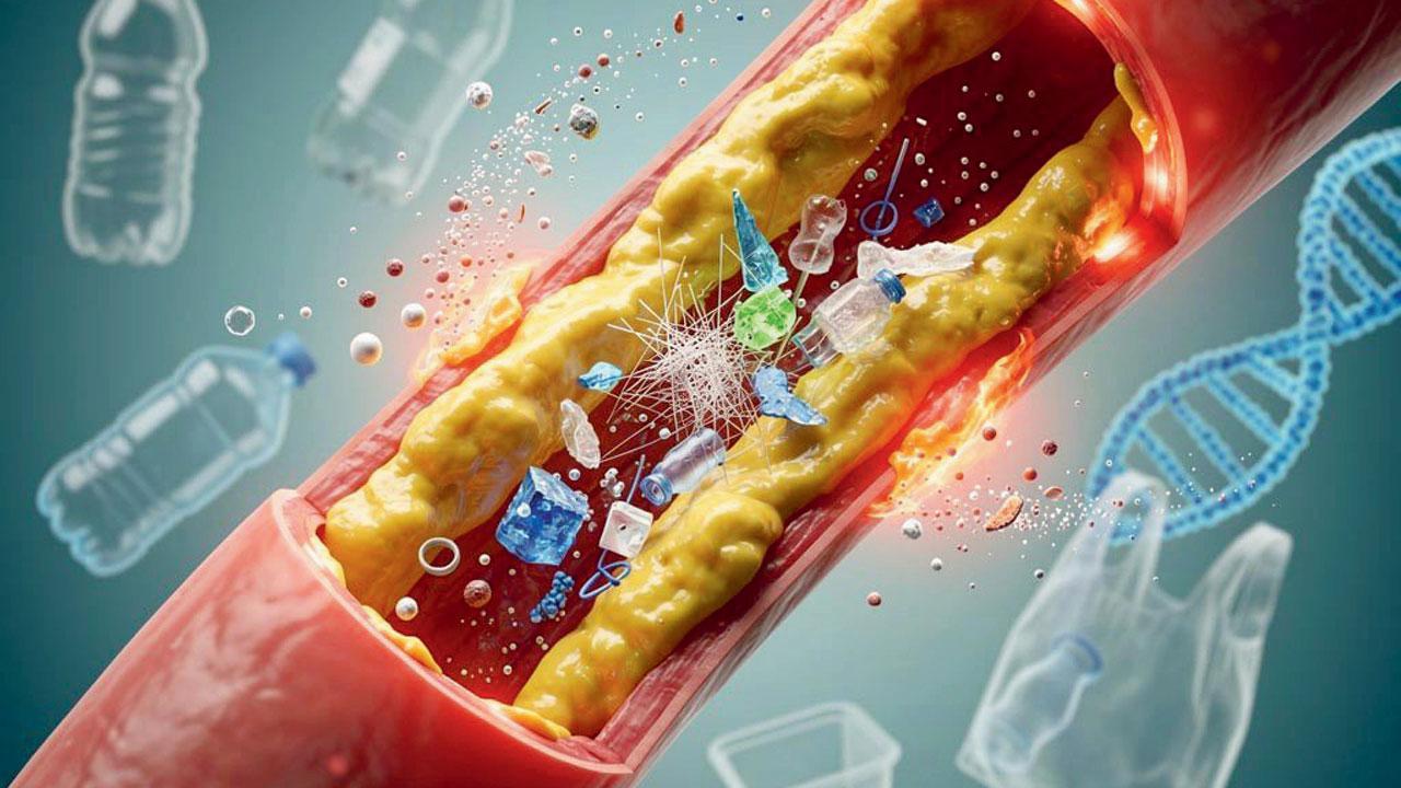 પ્રતીકાત્મક તસવીર