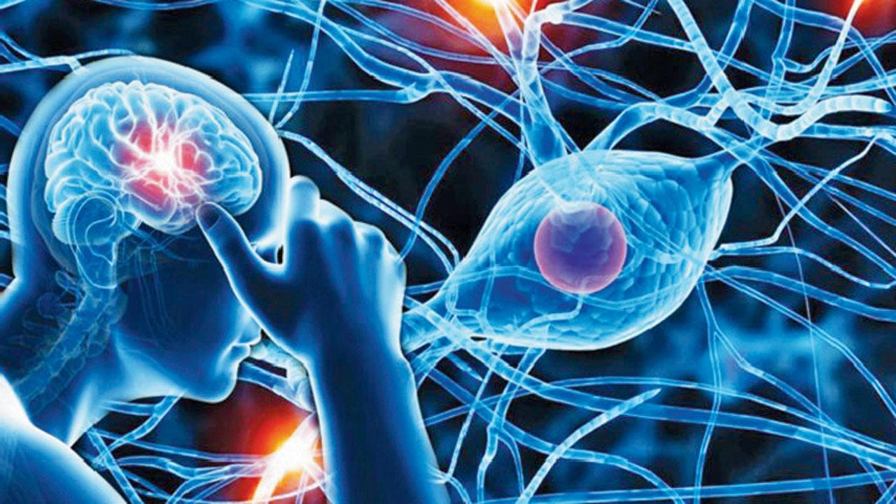 પ્રતીકાત્મક તસવીર