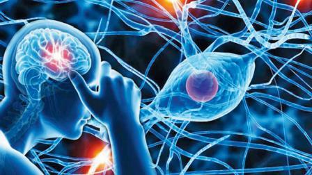 પ્રતીકાત્મક તસવીર