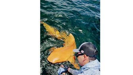 વાઇરલ વિડીયોમાંથી સ્ક્રીનશૉટ