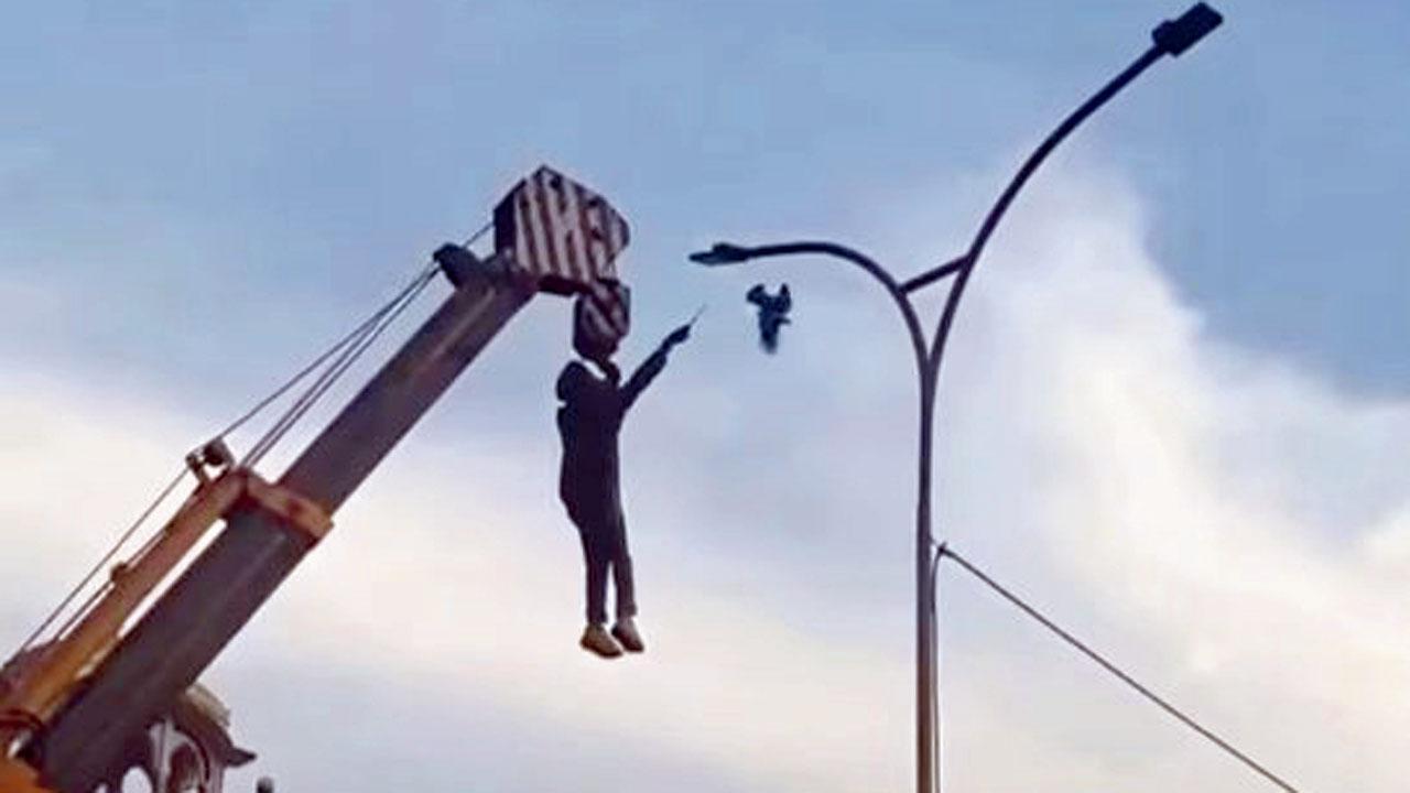 તારમાં ફસાયેલા પંખીને બચાવવા માણસ ક્રેન પર લટક્યો