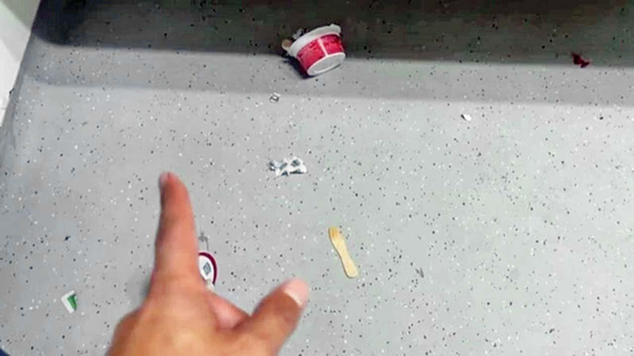 વાઇરલ વિડીયોમાંથી સ્ક્રીનશૉટ