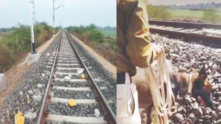 ડૉગ-સ્ક્વૉડ સાથે ઘટનાસ્થળે પહોંચેલી પોલીસ.