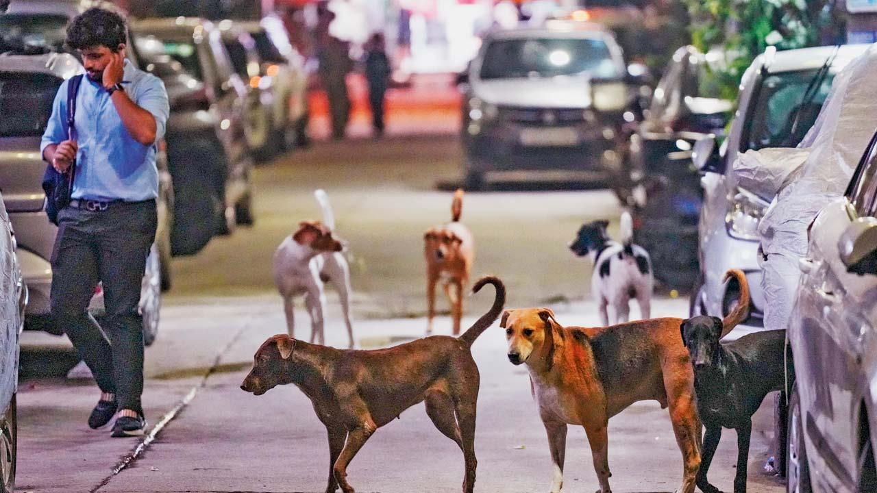 પ્રતીકાત્મક તસવીર