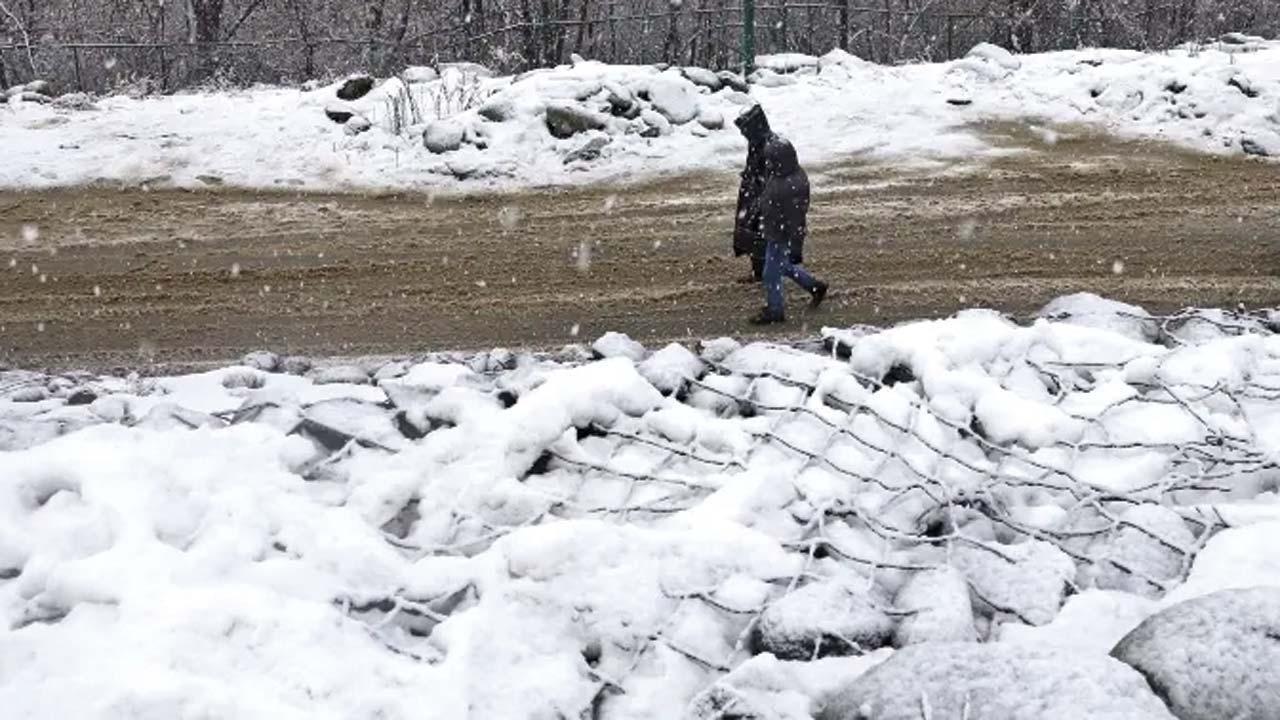 પ્રતીકાત્મક તસવીર