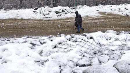 પ્રતીકાત્મક તસવીર