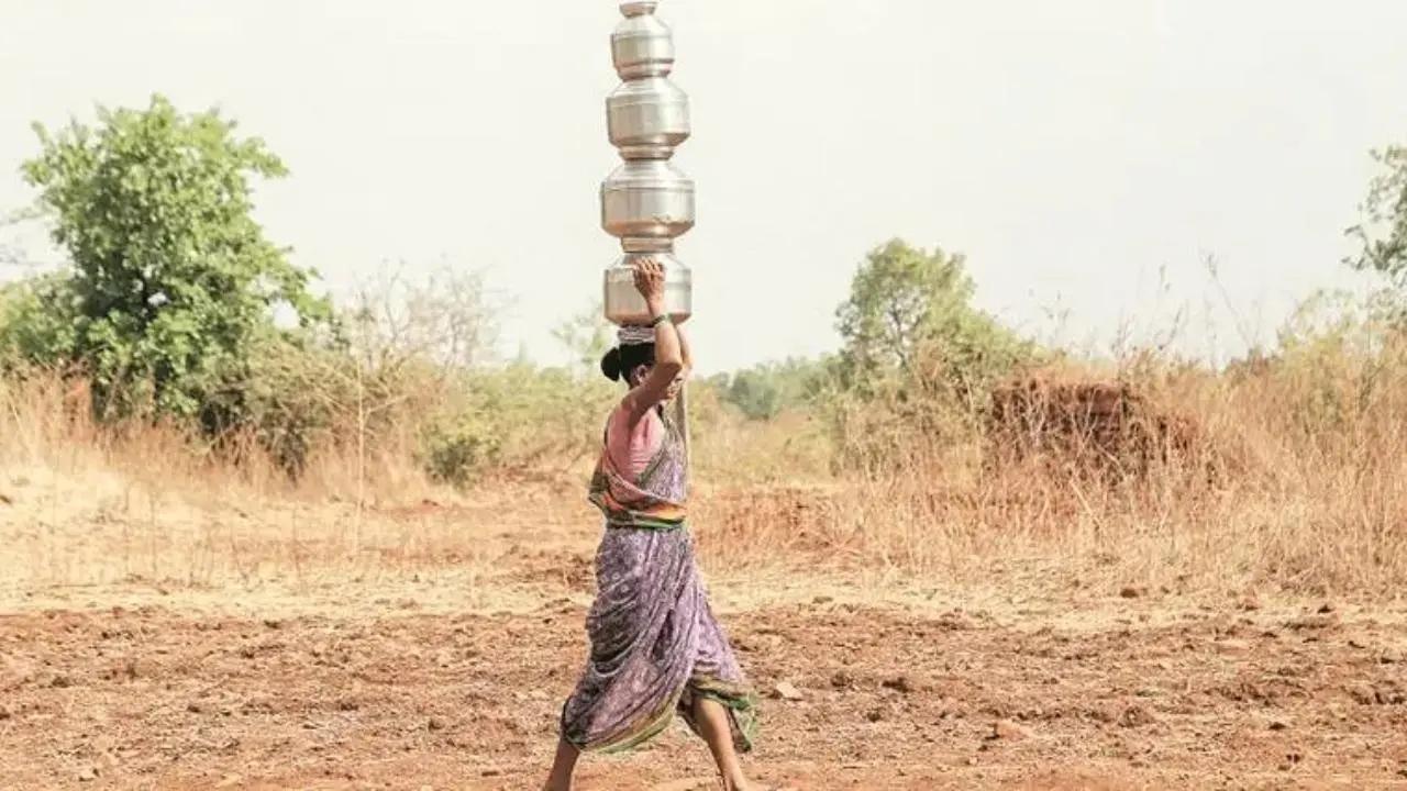 પ્રતીકાત્મક તસવીર (સૌજન્ય: મિડ-ડે)