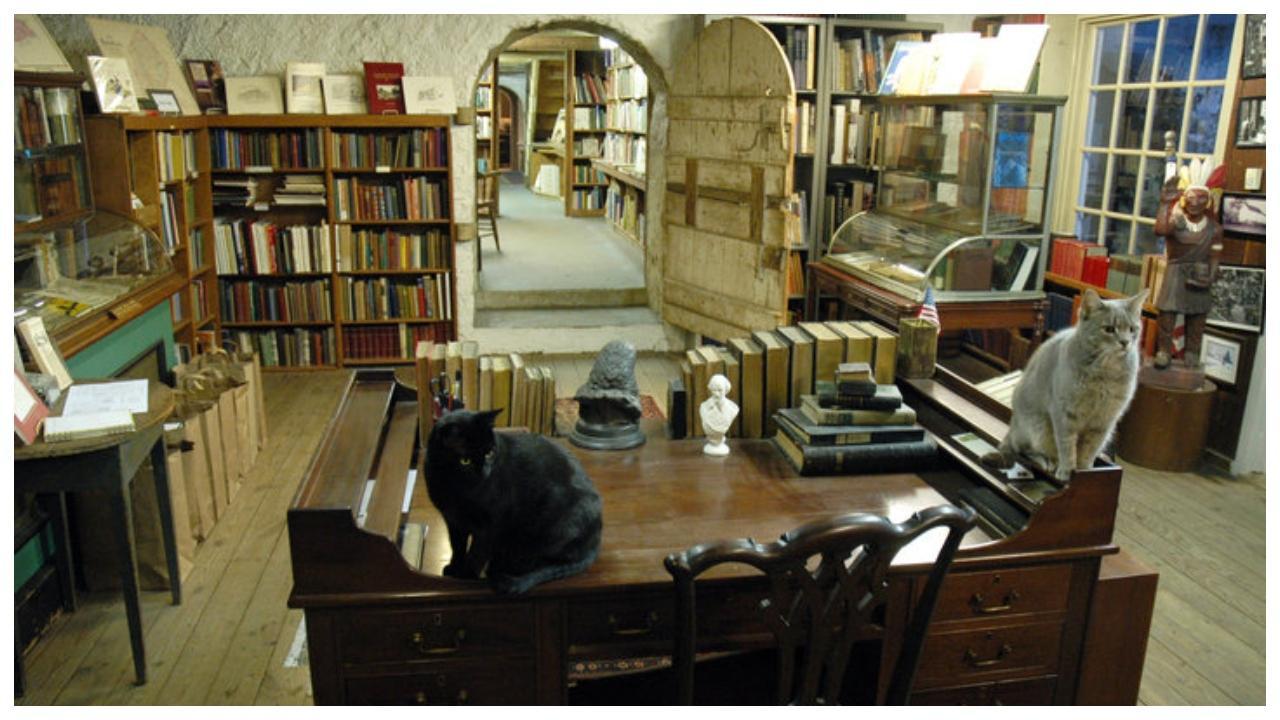 બૉલ્ડવિન બુકશોપ જીવંત ઈતિહાસ સમાન છે 