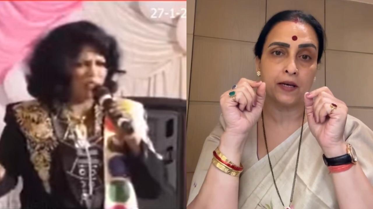 વાયરલ વીડિયોનો સ્ક્રીન ગરૅબ (તસવીર સૌજન્ય: સોશિયલ મીડિયા)