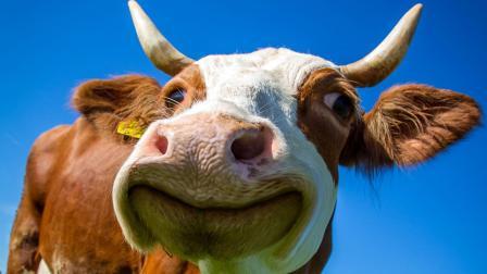 પ્રતિકાત્મક ફાઇલ તસવીર