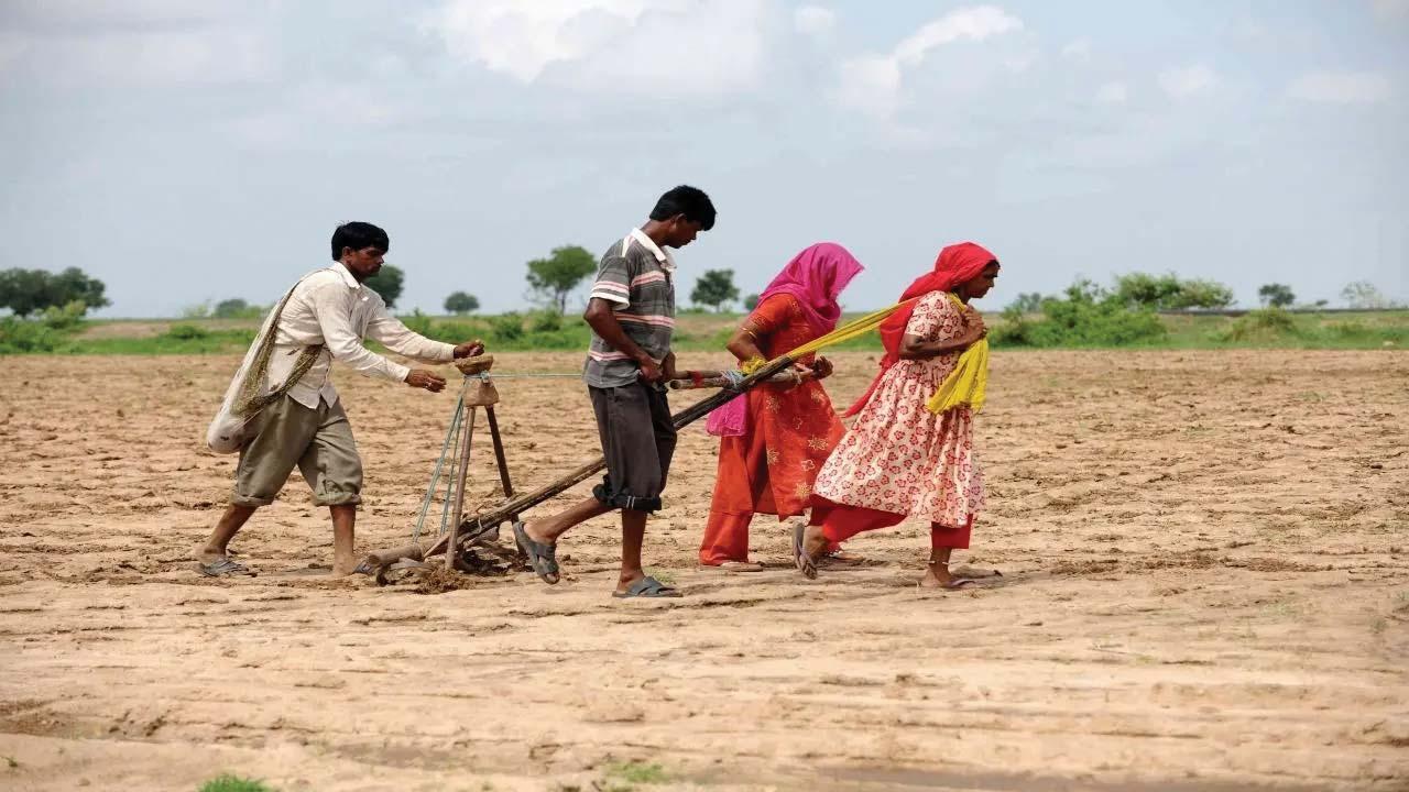 પ્રતીકાત્મક તસવીર