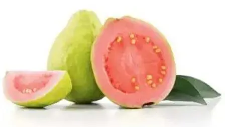 પ્રતીકાત્મક તસવીર