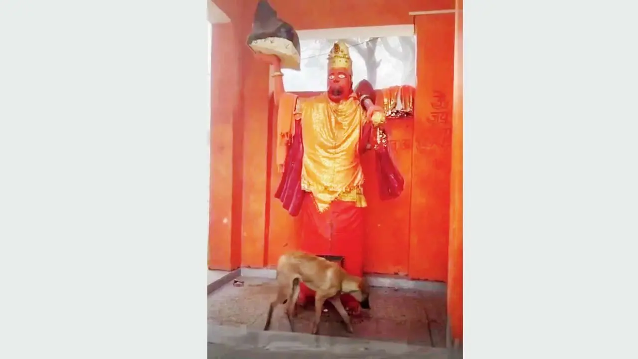 વાઇરલ વિડીયોમાંથી સ્ક્રીનશૉટ