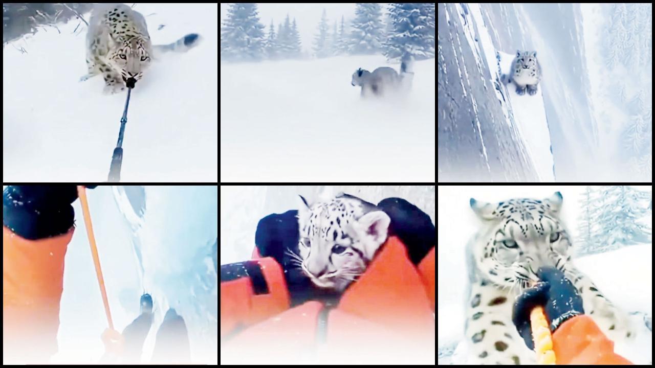 તસવીર સૌજન્યઃ સોશ્યલ મીડિયા