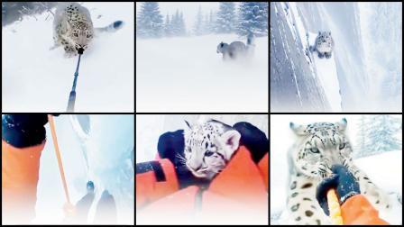 તસવીર સૌજન્યઃ સોશ્યલ મીડિયા