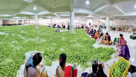 અથાણા માટેનાં મરચાંની તૈયારી કરતાં સેવાભાવી ભાઈઓ-બહેનો.