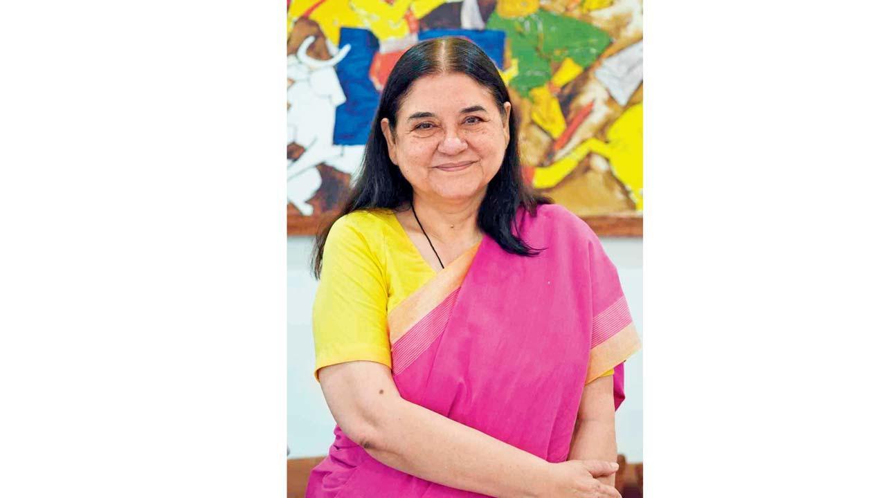 મેનકા ગાંધી