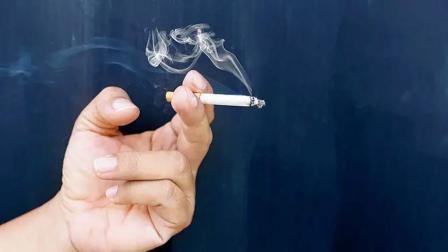 પ્રતીકાત્મક તસવીર