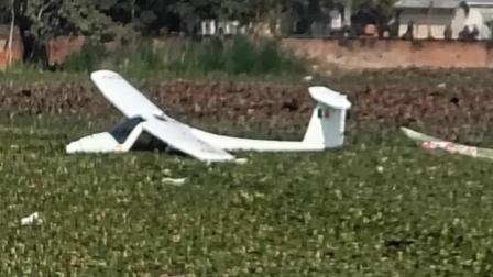 વાયરલ વીડિયોનો સ્ક્રીન ગરૅબ (તસવીર સૌજન્ય: સોશિયલ મીડિયા)